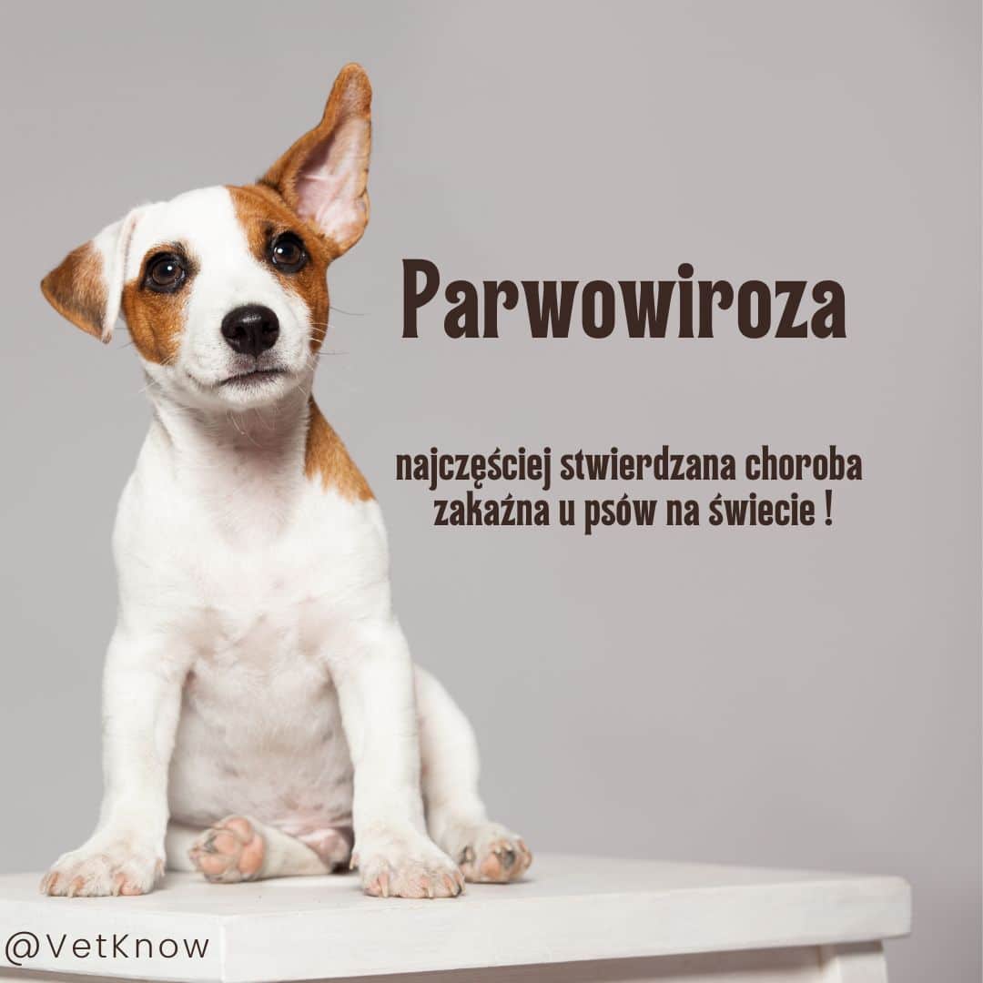 Parwowiroza 1